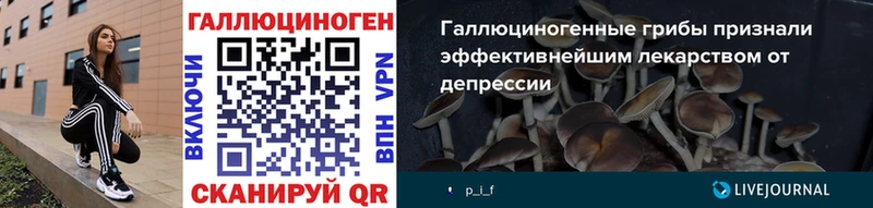 Псилоцибиновые грибы Psilocybe  Медвежьегорск 